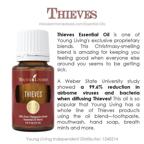 thieves young living|Thieves® Essential Oil Blend Uses & Benefits